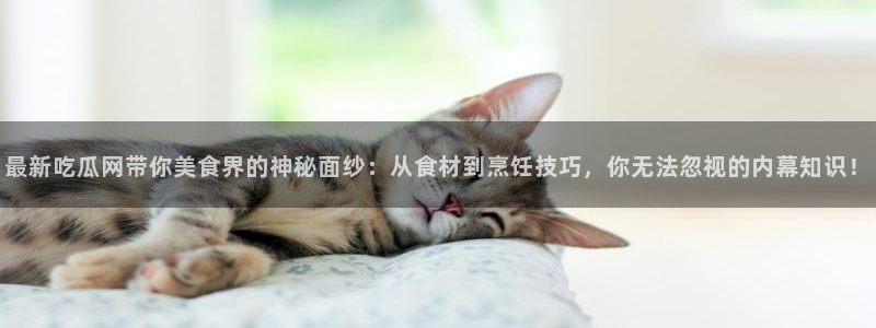 最新黑料证据梳理