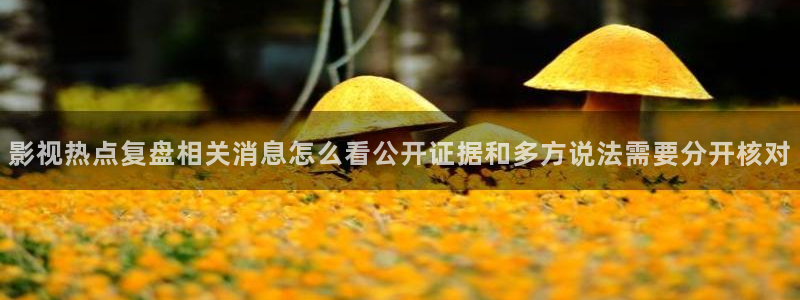 黑料真伪核验