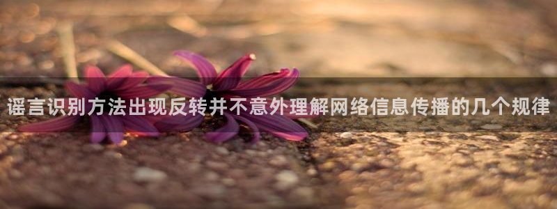 网红黑料真伪核验