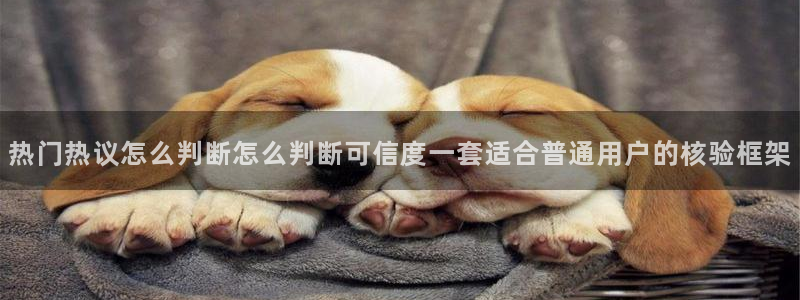 黑料事件后续进展