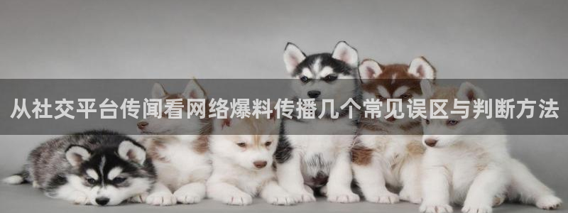热门黑料事件始末