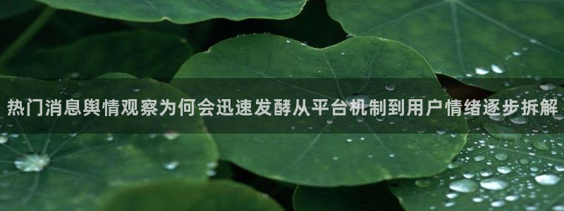 最新黑料后续进展