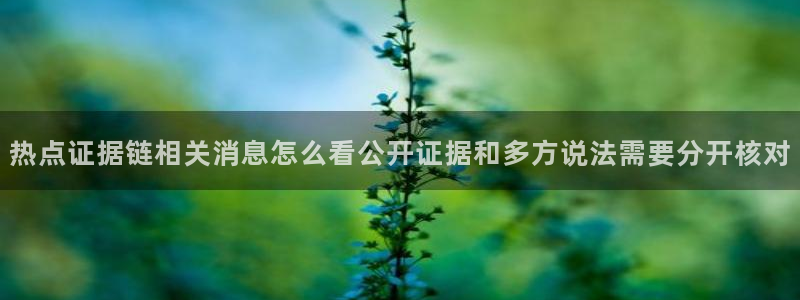 明星黑料真伪核验