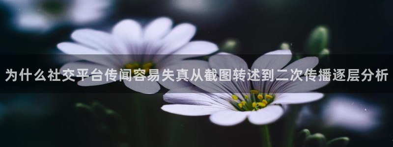 娱乐黑料