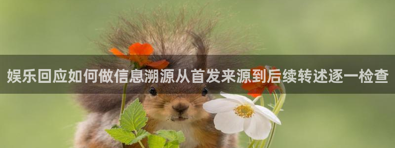 职场黑料后续进展
