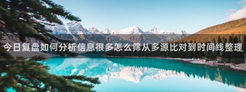 网络黑料后续进展